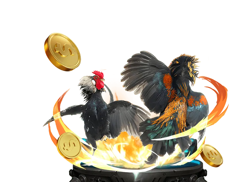 Tầm Nhìn NoHu 2026