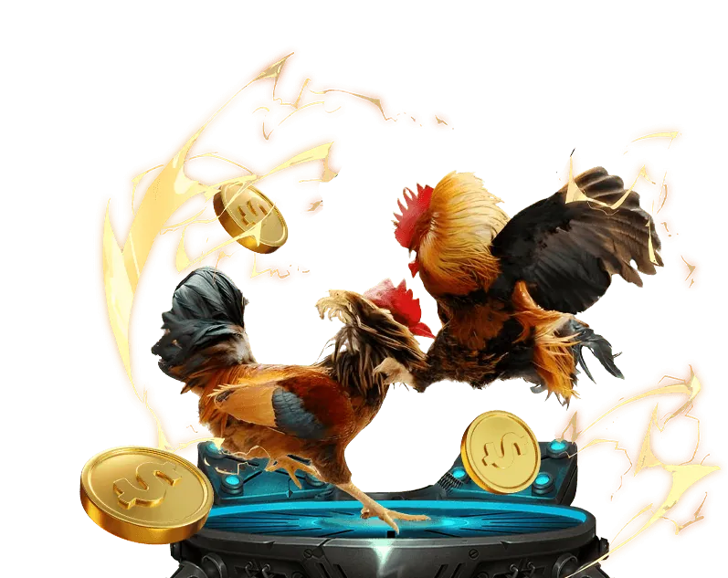 Cá cược các môn thể thao khác Nohu